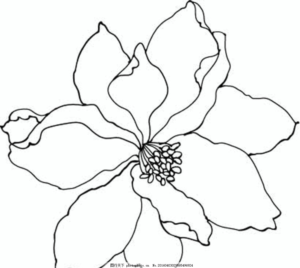 花纹背景 复古背景 欧式花边 花纹 纹理背景 花朵 背景图 底图 背景图设计 底图设计 花纹纹理 花 矢量花 花边 边框 花边设计 矢量花边 矢量边框 卡通背景 卡通动物 数码印花 床单印花 图腾 角花 传统花纹 火腿纹 设计 广告设计 广告设计 AI