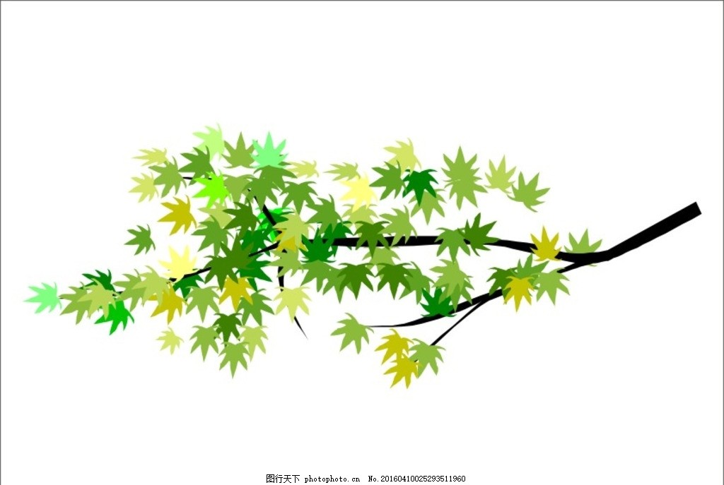 树枝 树叶 叶子 树杆 绿叶 树苗图片