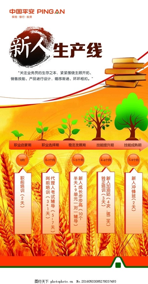 新人生产线,平安保险 文化墙 会议 报告 交流 表