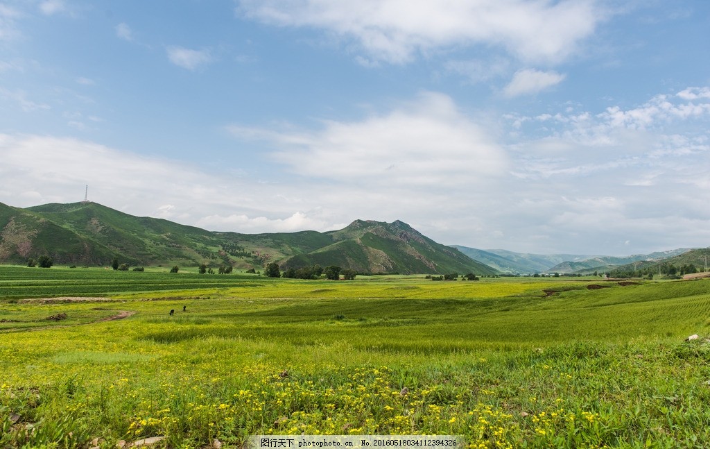 田园风光 田园景色 克旗风光 坝上草原 旅游摄影 夏天景色 内蒙古风景