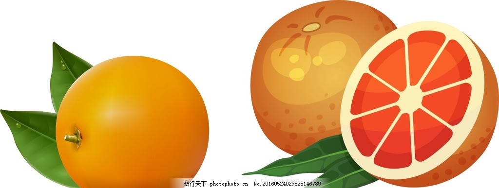 红心橙 橙子,水果主题 手绘水果 矢量 水果素材
