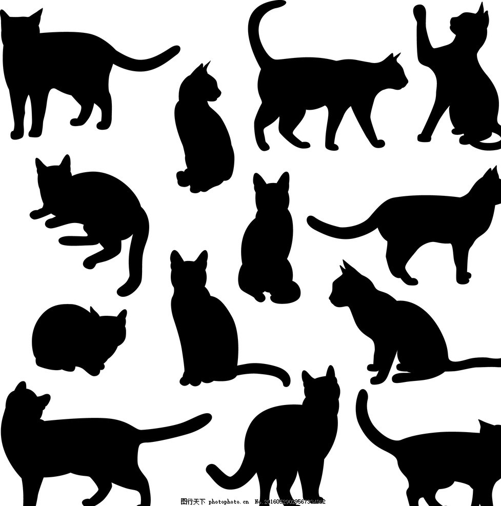 猫剪影,动物剪影 动物世界 卡通动物 漫画动物 陆地动物-图行天下图库