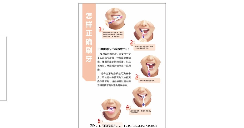 牙科展板 怎样正确刷牙