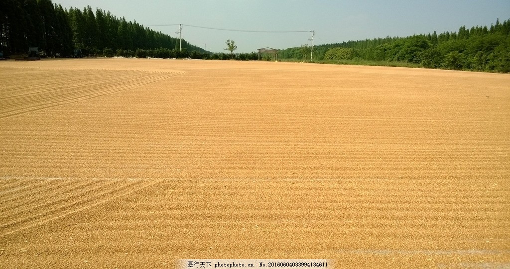 梦见下雨了求解，探索梦境中的情感与启示