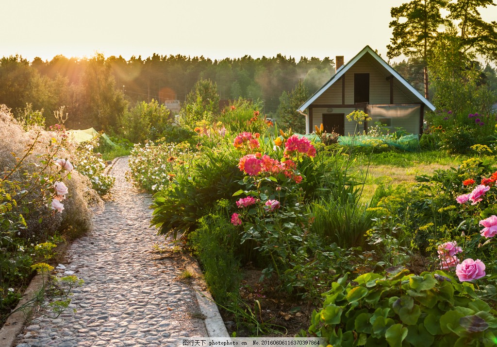 设计图库 高清素材 自然风景  花卉摄影 阳光下的花卉与别墅 高清摄影