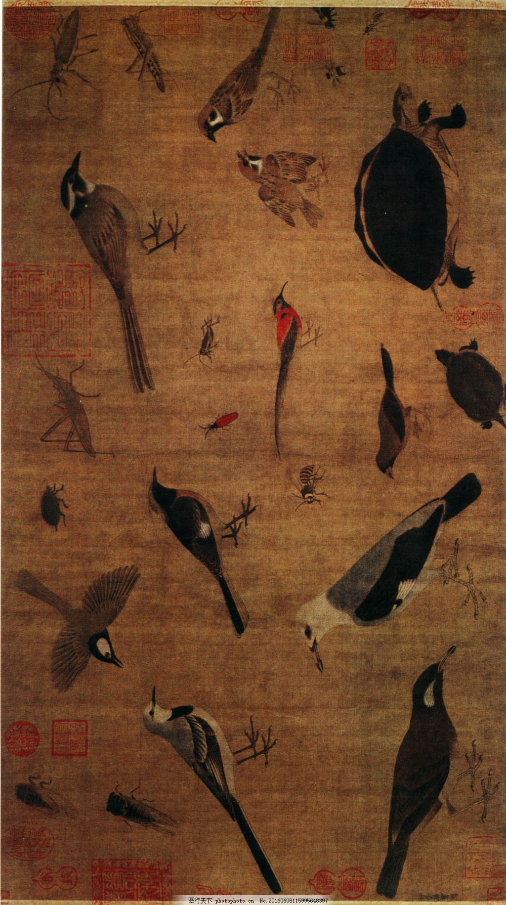 写生珍禽图图片