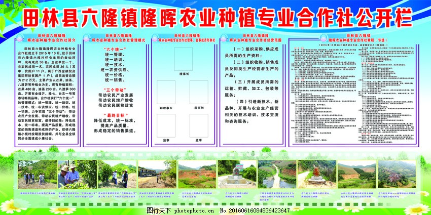 关于农业专业合作社纳税和其他手续问题