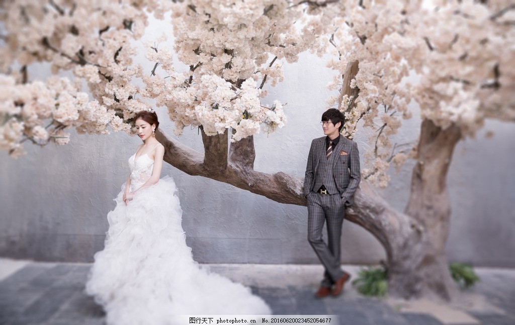 韩式 欧式 中式 婚纱照 婚纱摄影 地中海 樱花 人物摄影