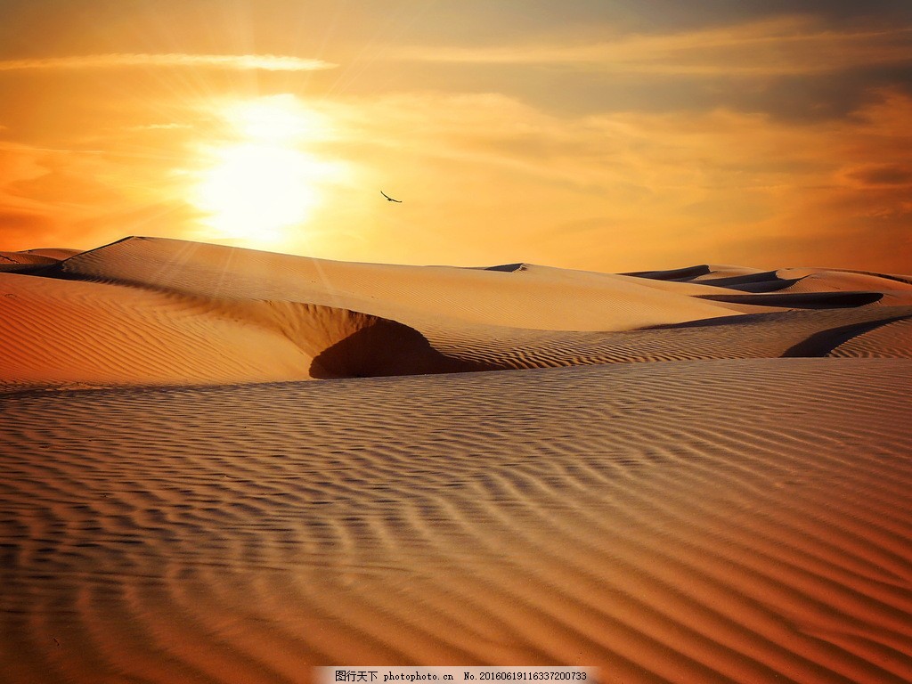 Free Images : landscape, sea, sand, horizon, sky, sun, sunrise, sunset, sunlight, desert, dawn ...